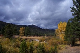 River in Fall