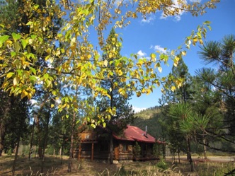 The Cottonwood