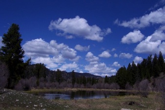 Pond in May