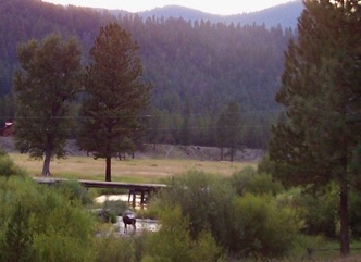 Bridge and meadow