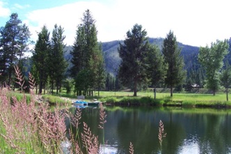 Calm on pond