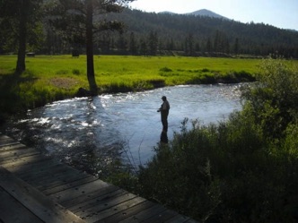 Fishing near the bridge