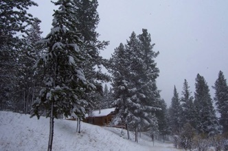 Cabin in snow