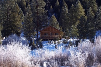 Moose Crossing cabin