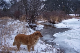 Maggie by river